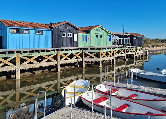 Pet Friendly Apartamento *